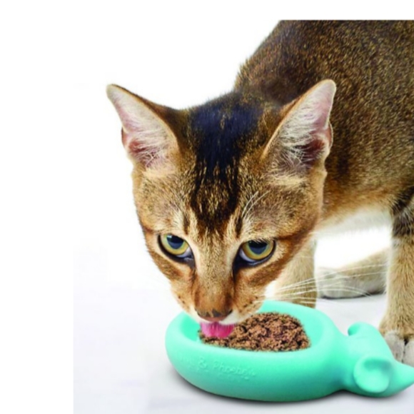 Wet feeder - Picture 3 of 4